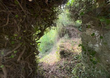 Foto 16 - Independent house Perinaldo - photo 14