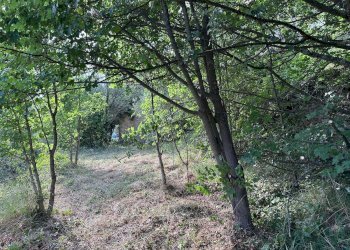 Foto 17 - Independent house Perinaldo - photo 15