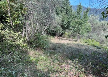 Foto 18 - Independent house Perinaldo - photo 16