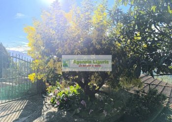 Foto 29 - Independent house località san michele, Perinaldo - photo 29