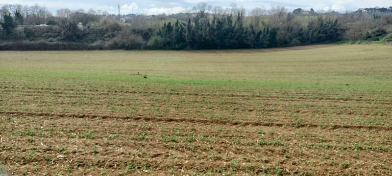 Foto 2 - Building land strada statale 602, Spoltore - photo 2