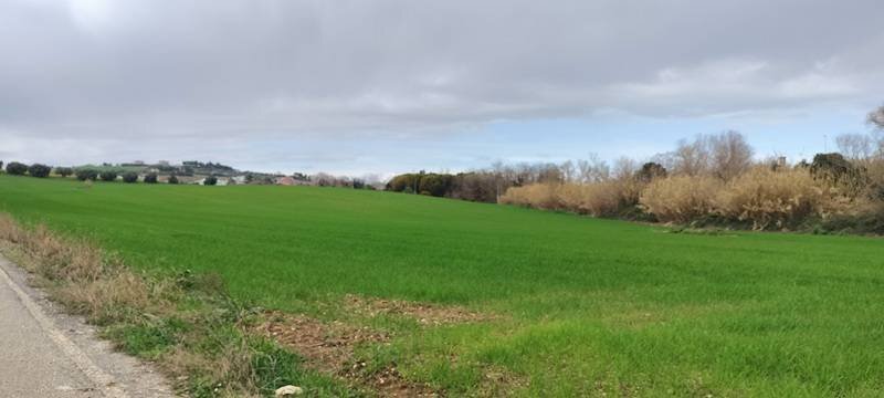 Foto 3 - Building land strada statale 602, Spoltore - photo 3