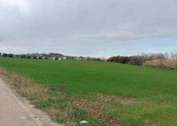 Foto 1 - Building land strada statale 602, Spoltore - photo 1