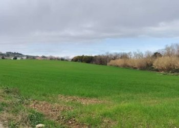 Foto 3 - Building land strada statale 602, Spoltore - photo 3