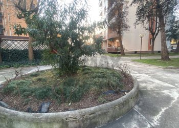 Giardino - Bilocale P.le Siena
 
6, Milano - foto 27