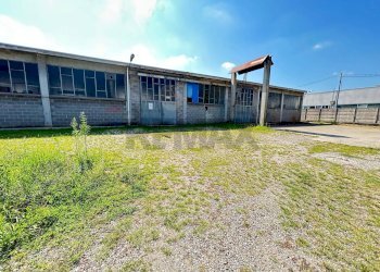 Giardino - Laboratorio Via Labriola
 
27, Borgo Ticino - foto 20