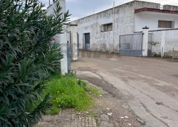 Casa all\'aperto - Capannone Strada Comunale delle Pezze
 
3, Carmiano - foto 11