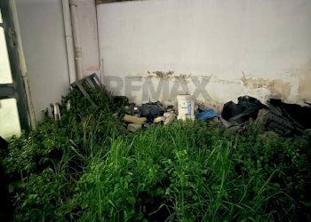 Giardino - Capannone Strada Comunale delle Pezze
 
3, Carmiano - foto 12