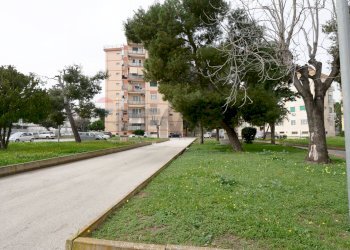 Edificio all\'aperto - Quadrilocale Via Latina
 
1, Bari - foto 2
