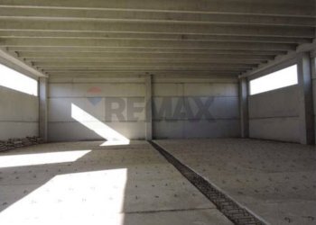 Parcheggio - Capannone Contrada Finocchio, Mola di Bari - foto 8