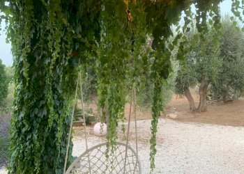 Giardino - Casa indipendente Contrada San Giovanni, Ostuni - foto 7