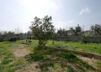 Giardino - Villa Contrada Pesciacroce
 
9, Conversano - foto 6