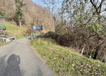 Giardino - Casa indipendente Valle Cannobina - foto 30