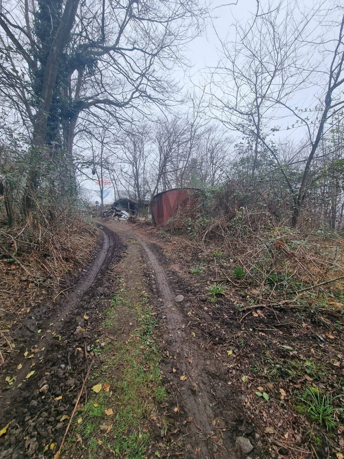 Giardino - Terreno agricolo Piscio'
 
16, Germignaga - foto 1