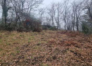 Non correlato - Terreno agricolo Piscio'
16, Germignaga - foto 4