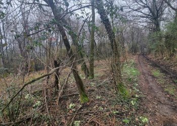 Non correlato - Terreno agricolo Piscio'
16, Germignaga - foto 5