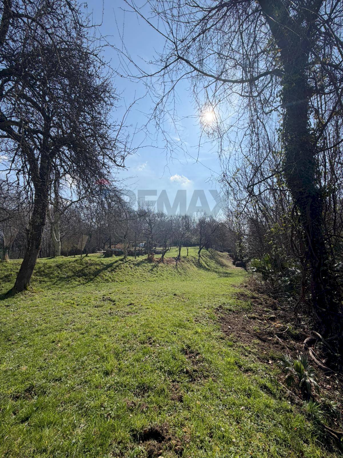 Giardino - Terreno edificabile Via Vignone, Agra - foto 1