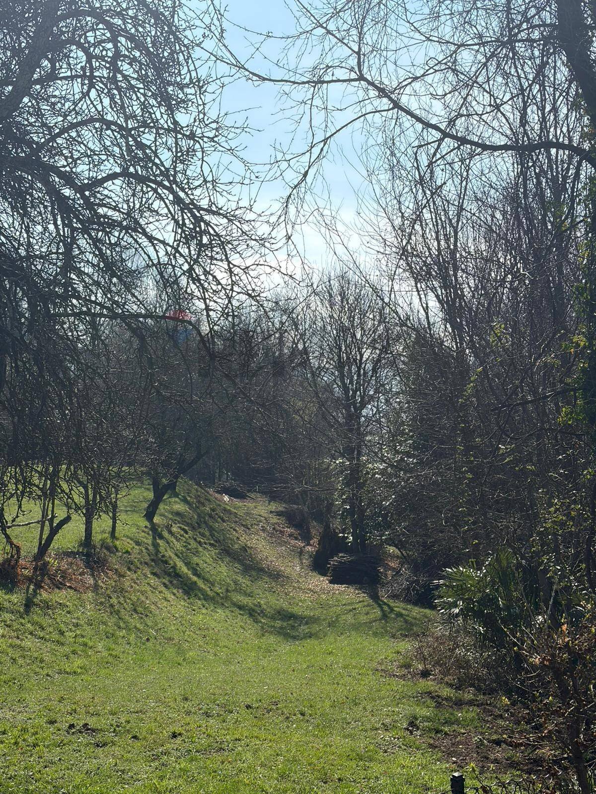 Giardino - Terreno edificabile Via Vignone, Agra - foto 2