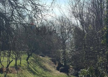 Giardino - Terreno edificabile Via Vignone, Agra - foto 2