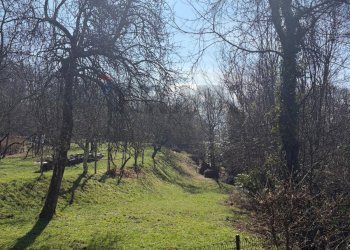 Giardino - Terreno edificabile Via Vignone, Agra - foto 3