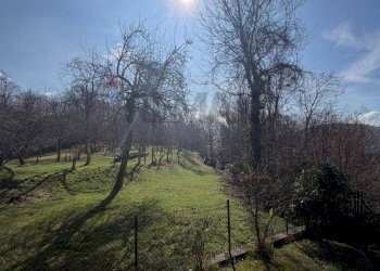 Giardino - Terreno edificabile Via Vignone, Agra - foto 5