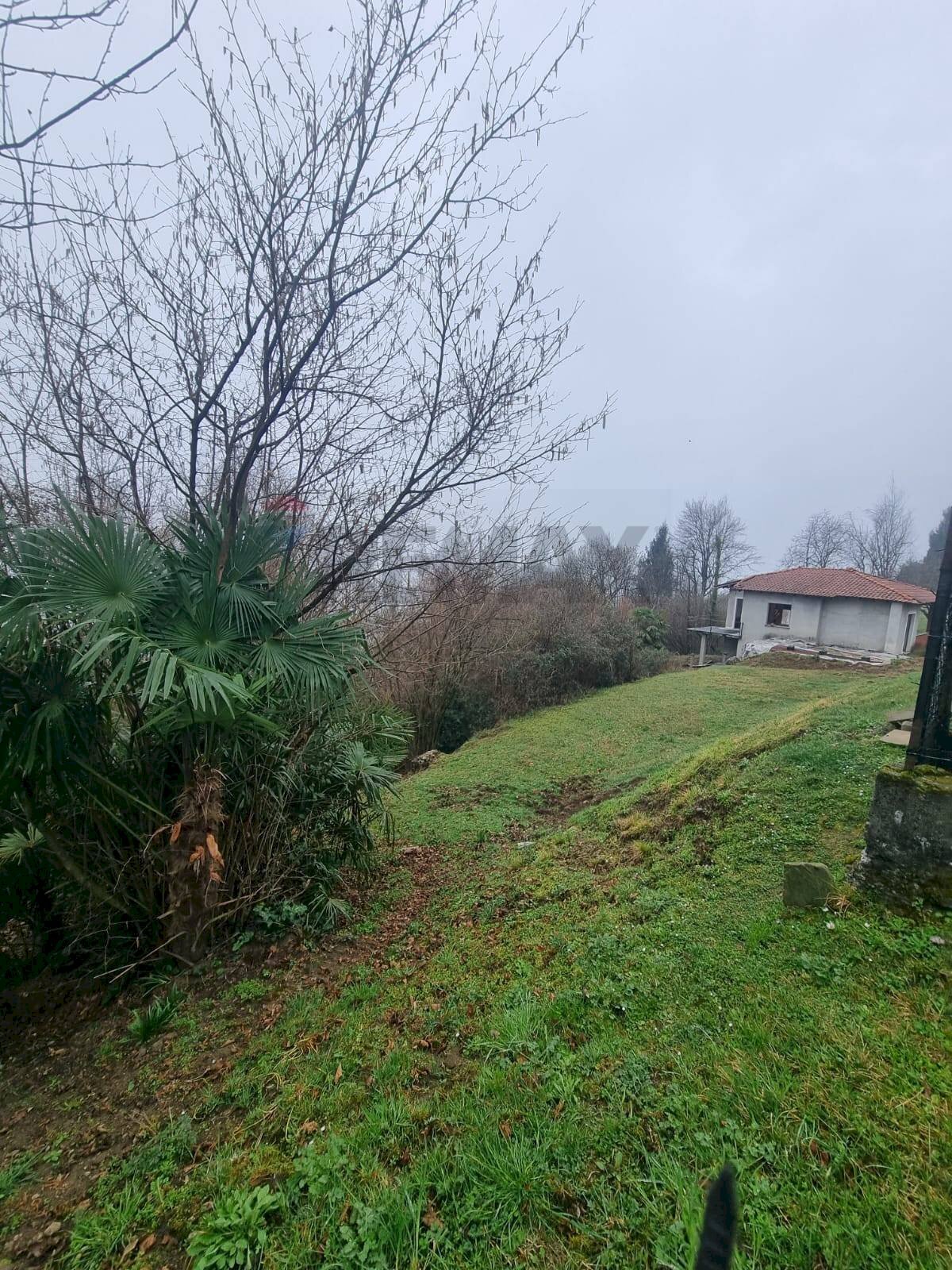 Giardino - Terreno edificabile Via Vignone, Agra - foto 3