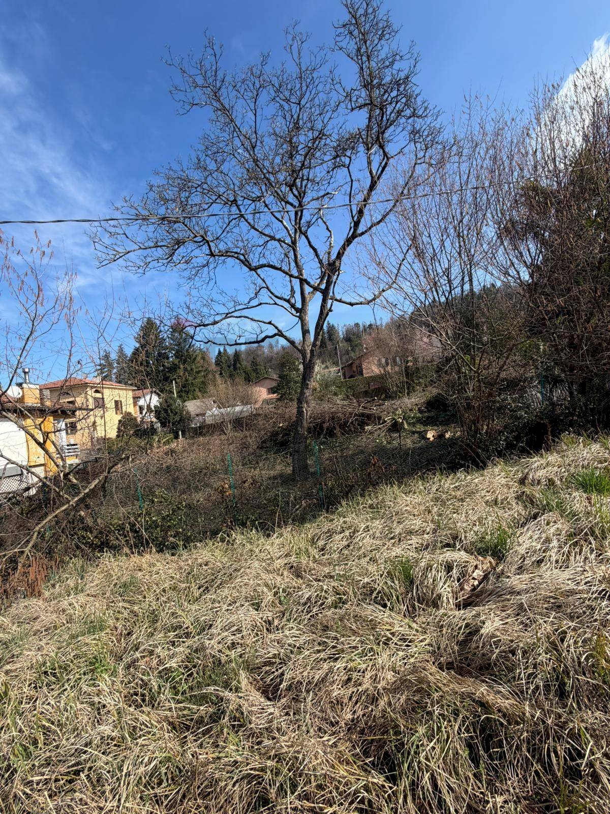 Vista delle montagne - Terreno edificabile via Pineta, Montegrino Valtravaglia - foto 2