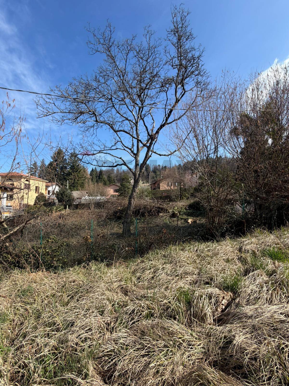 Vista delle montagne - Terreno edificabile via Pineta, Montegrino Valtravaglia - foto 3