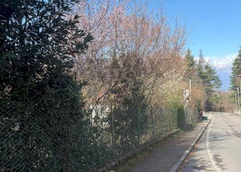 Non correlato - Terreno edificabile via Pineta, Montegrino Valtravaglia - foto 4