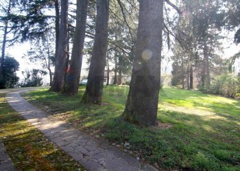 Giardino - Villa via monte bisbino
 
30, Varese - photo 9