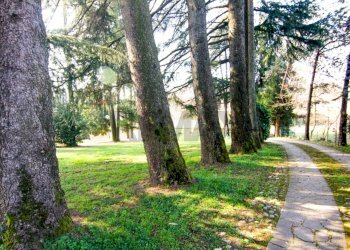 Giardino - Villa via monte bisbino
 
30, Varese - photo 10