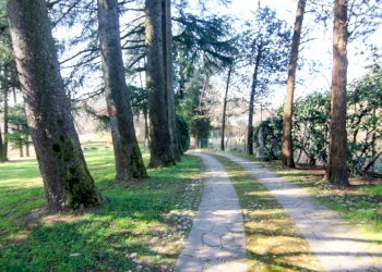 Giardino - Villa via monte bisbino
 
30, Varese - photo 20