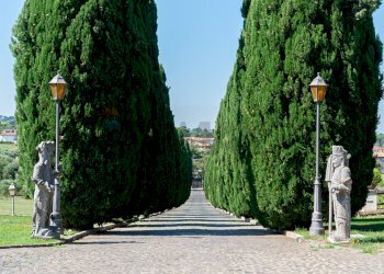 Non correlato - Rustic Via delle Selve Nuove
 
11, Ciampino - photo 3