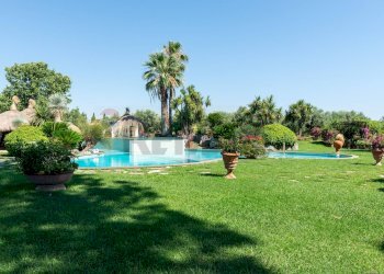 Piscina - Rustic Via delle Selve Nuove
 
11, Ciampino - photo 15