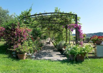 Giardino - Rustic Via delle Selve Nuove
 
11, Ciampino - photo 19