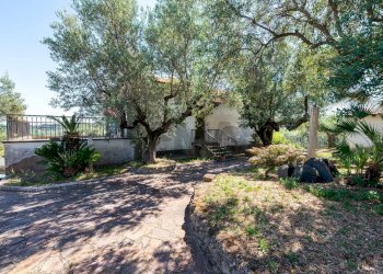 Giardino - Rustic Via delle Selve Nuove
 
11, Ciampino - photo 50