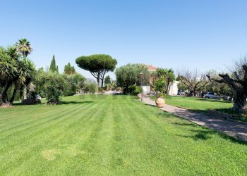 Giardino - Rustic Via delle Selve Nuove
 
11, Ciampino - photo 58