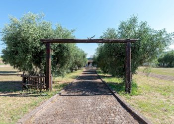 Giardino - Rustic Via delle Selve Nuove
 
11, Ciampino - photo 59