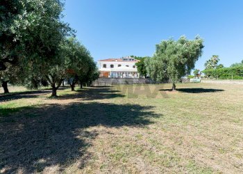 Giardino - Rustic Via delle Selve Nuove
 
11, Ciampino - photo 62