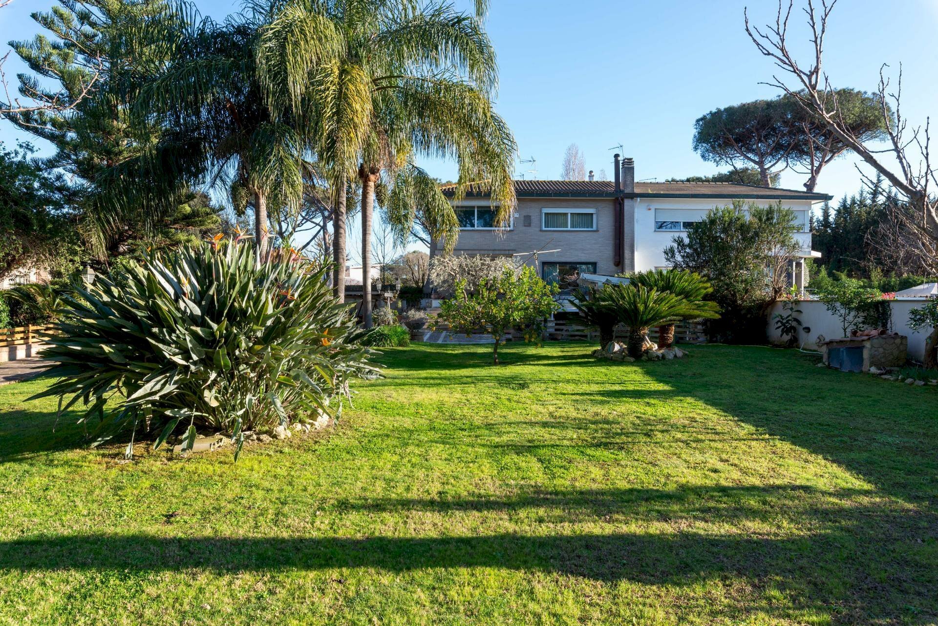 Giardino - Villa Viale Alessandro Magno, Roma - foto 3