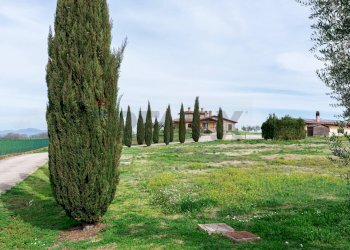 Giardino - Villa SP. PASCOLARE
 
164, Palombara Sabina - foto 4