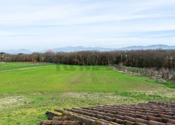 Giardino - Villa SP. PASCOLARE
 
164, Palombara Sabina - foto 37