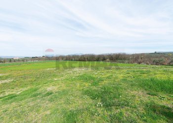 Giardino - Villa SP. PASCOLARE
 
164, Palombara Sabina - foto 50