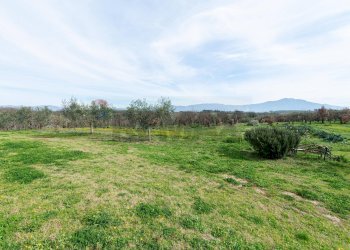 Giardino - Villa SP. PASCOLARE
 
164, Palombara Sabina - foto 51