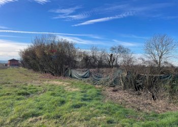 Giardino - Terreno agricolo VIA BOVINA, Mezzanino - foto 5