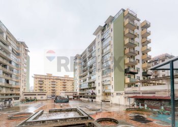 Spazi comuni parco giochi - Quadrilocale Viale Regione Siciliana Nord Ovest
 
2629, Palermo - foto 25