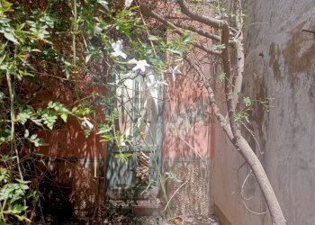 Giardino - Independent house via sicilia
 
snc, Valderice - photo 6