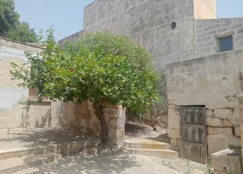 Edificio all\'aperto - Independent house via sicilia
 
snc, Valderice - photo 7