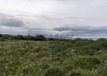 Vista delle montagne - Terreno edificabile Via Capo Rama, Terrasini - foto 12