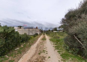 Vista delle montagne - Terreno edificabile Via Capo Rama, Terrasini - foto 15